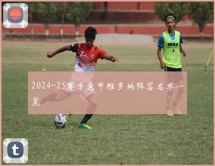 2024-25赛季意甲维罗纳阵容名单一览