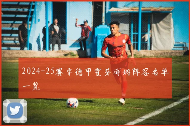 2024-25赛季德甲霍芬海姆阵容名单一览